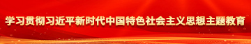 操逼动漫小骚逼学习贯彻习近平新时代中国特色社会主义思想主题教育